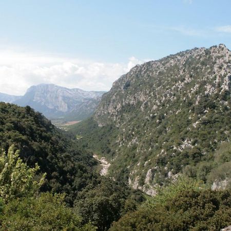 Cala Gonone - Nettuno Daire Dış mekan fotoğraf