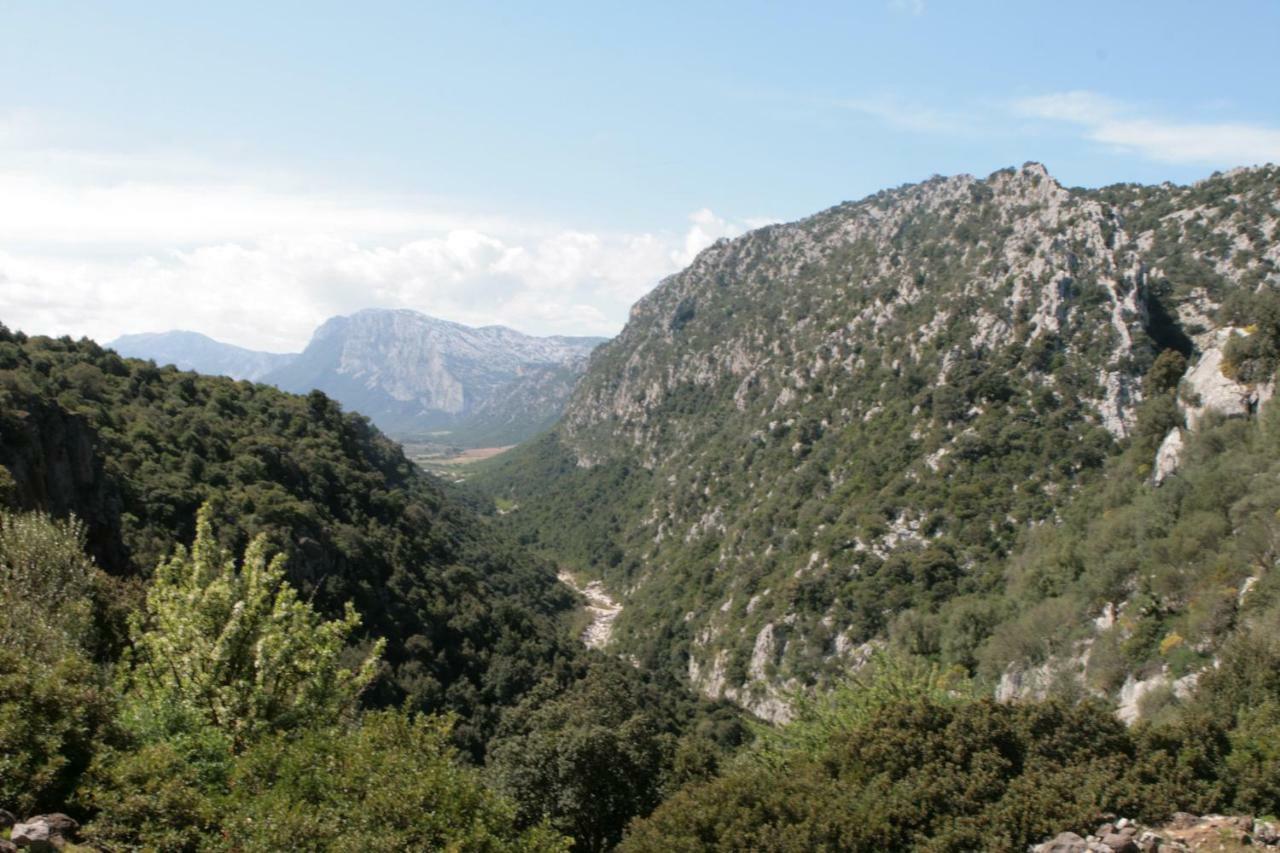 Cala Gonone - Nettuno Daire Dış mekan fotoğraf